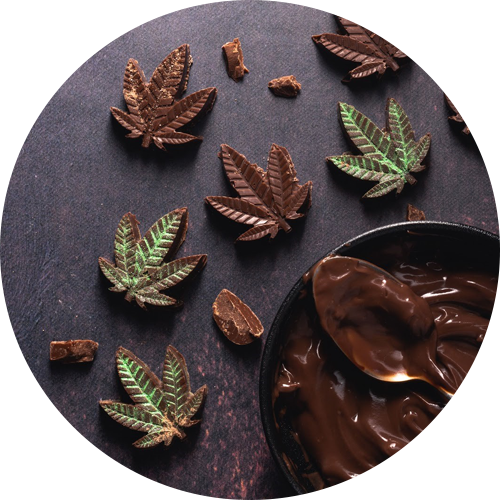 Chocolate Cannabis Edibles