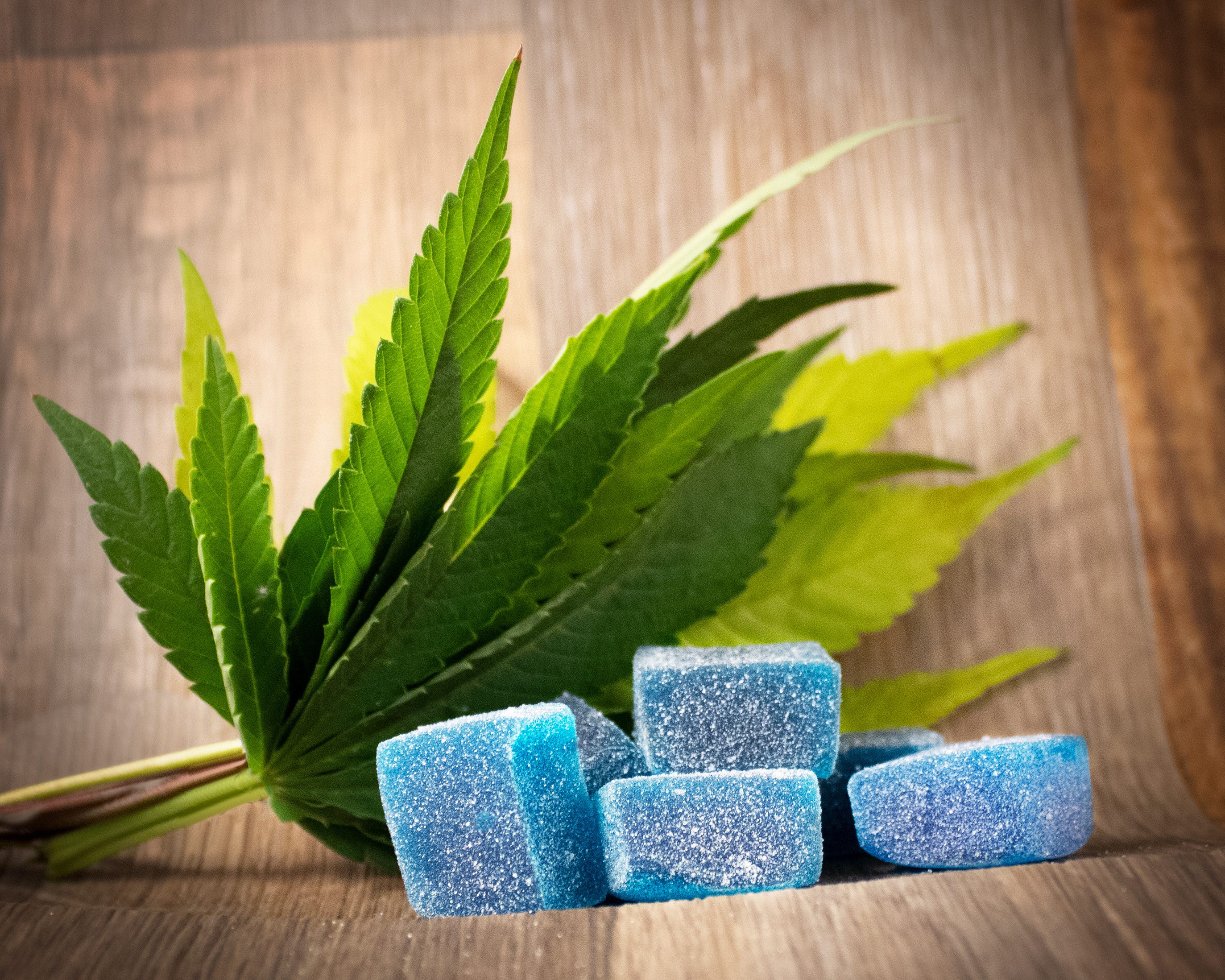 cannabis gummies