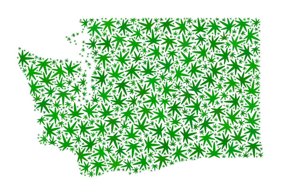 Recreational and medical use of cannabis is now legal in Washington State